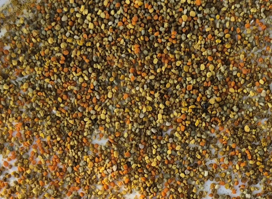 Pollen Toutes Fleurs déshydraté  200gr
