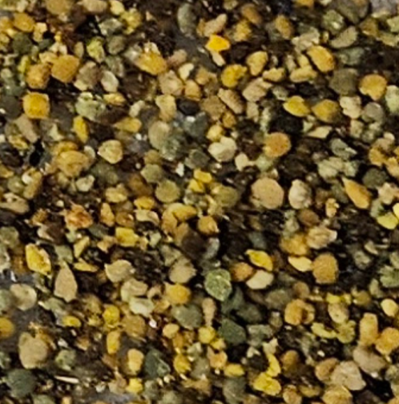 Pollen frais surgelé 100 g